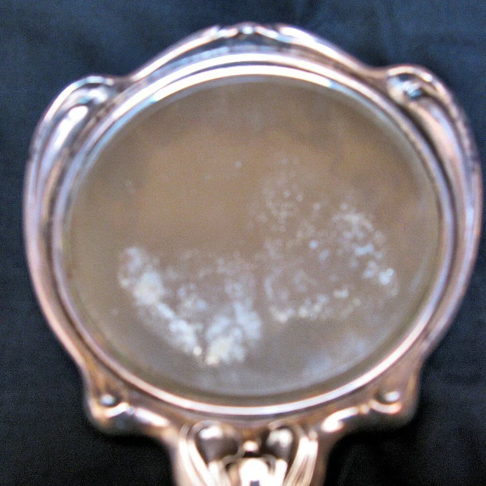ANTIQUE SILVER MIRROR, BRUSH, WEBSTER CO. ART NOUVEAU STERLING